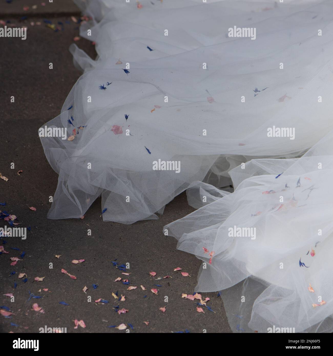 Natural petal confetti on the floor next to beautiful bridal gown Stock Photo