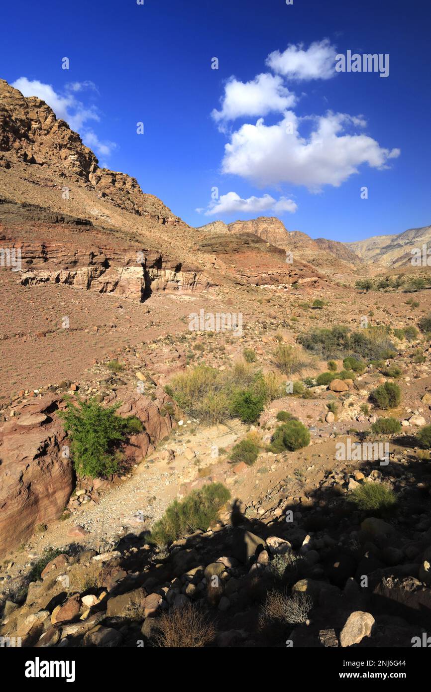 View through the Dana Biosphere Reserve, Wadi Dana, southcentral Jordan, Middle East. Jordan's