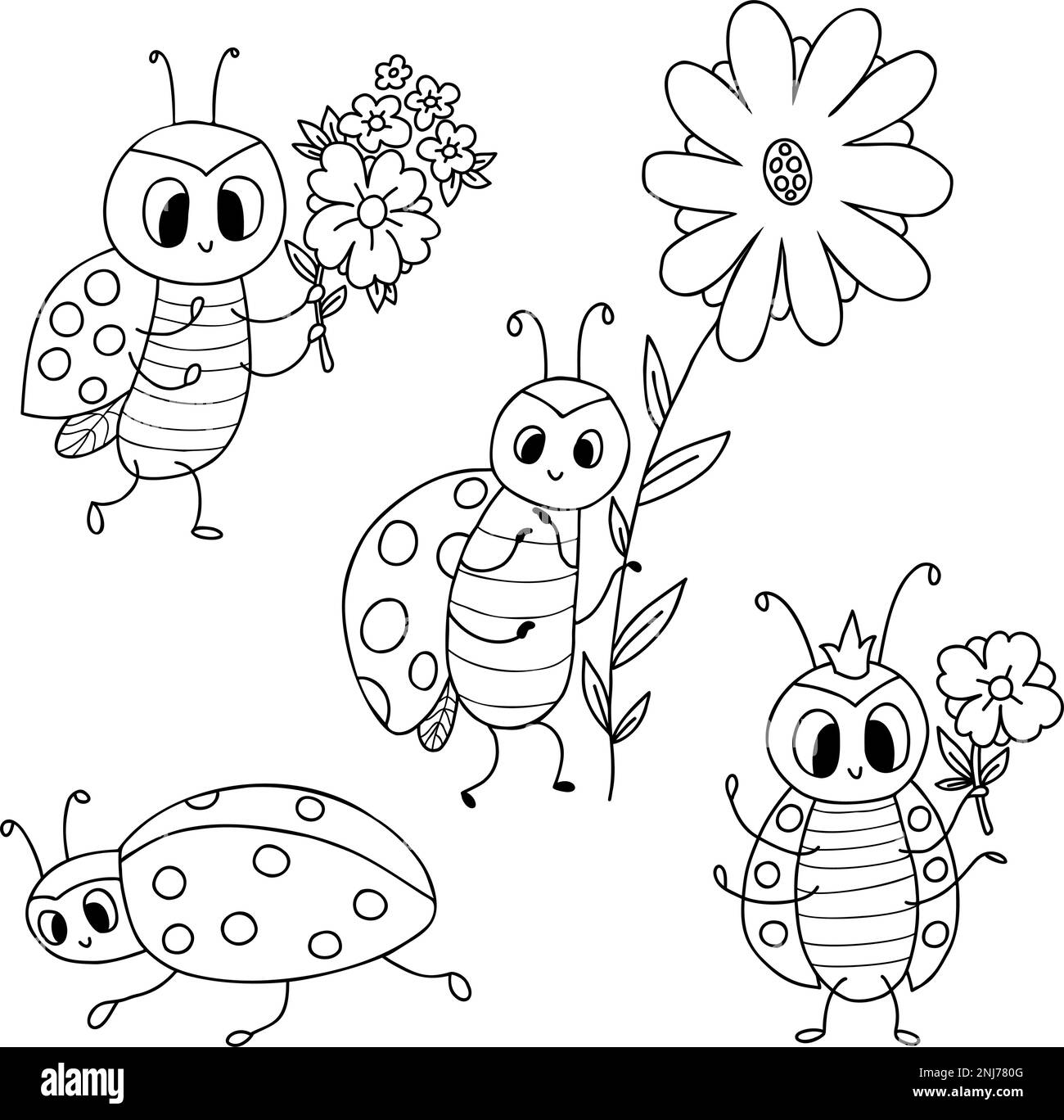 Cute little ladybug Black and White Stock Photos & Images - Alamy