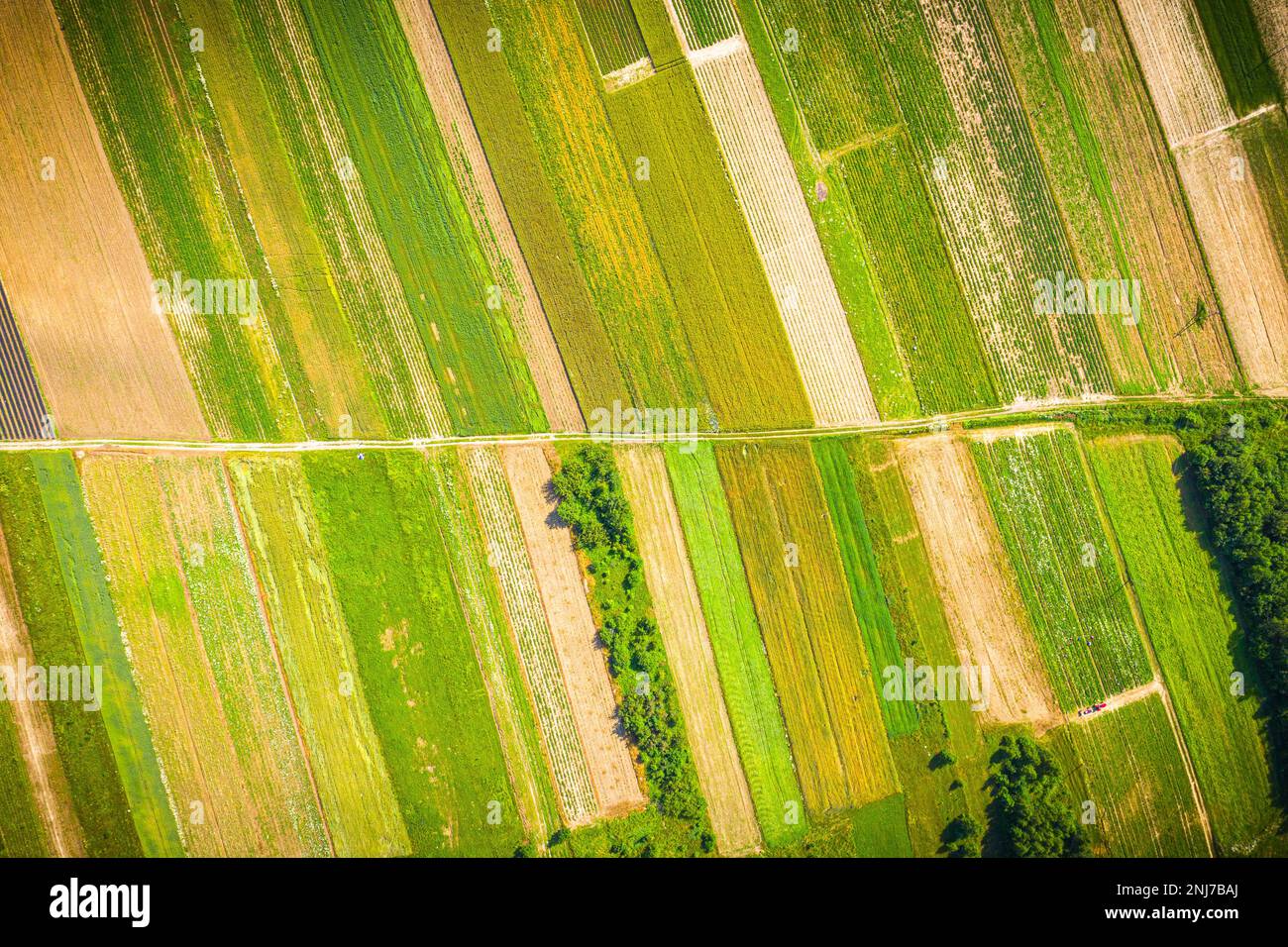 Aerial view on green and yellow parts of fields and countryside Stock Photo