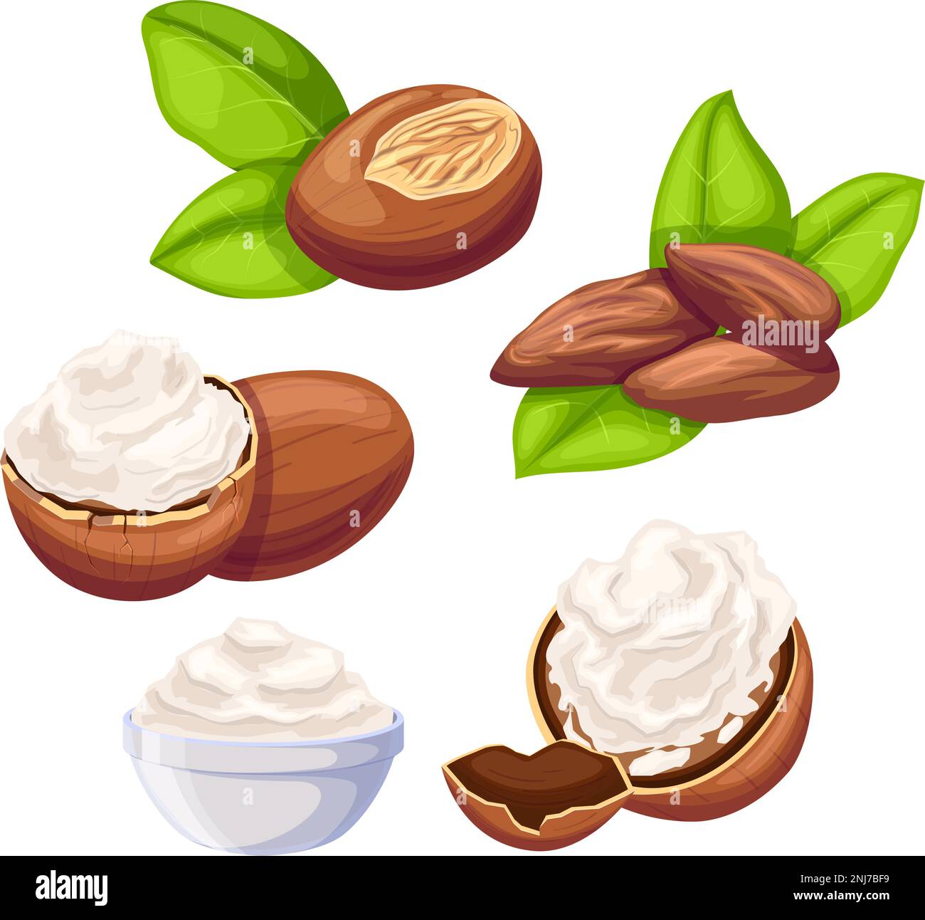 shea beauty butter set cartoon vector illustration color sign Stock