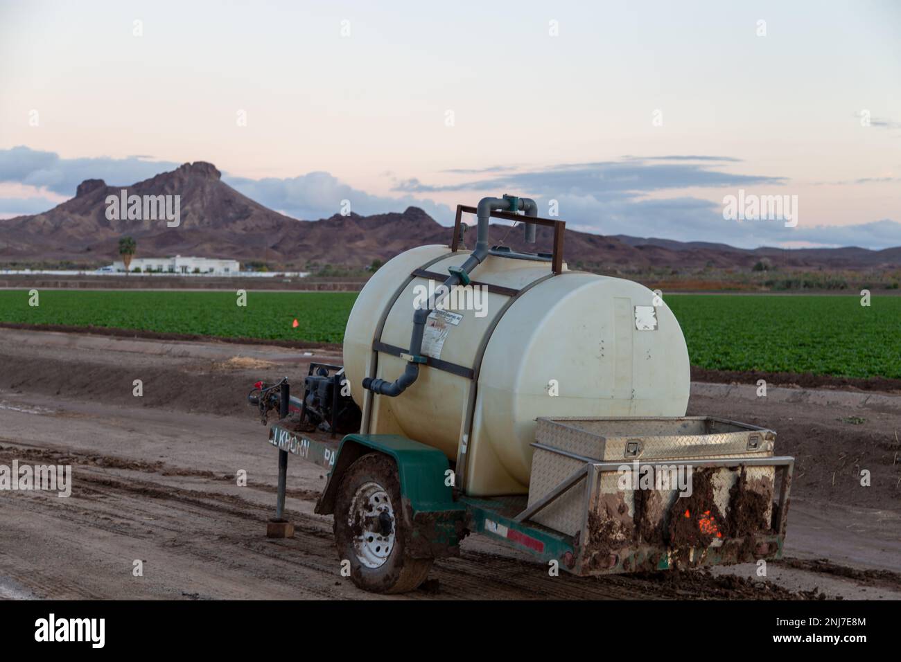 Agriculture in Yuma Az Stock Photo Alamy