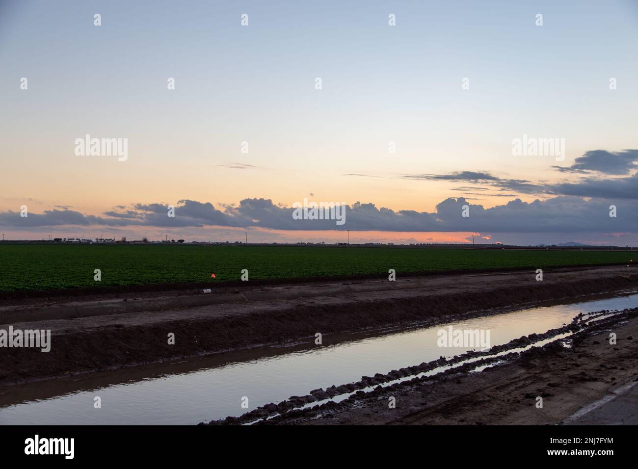 Agriculture in Yuma Az Stock Photo Alamy