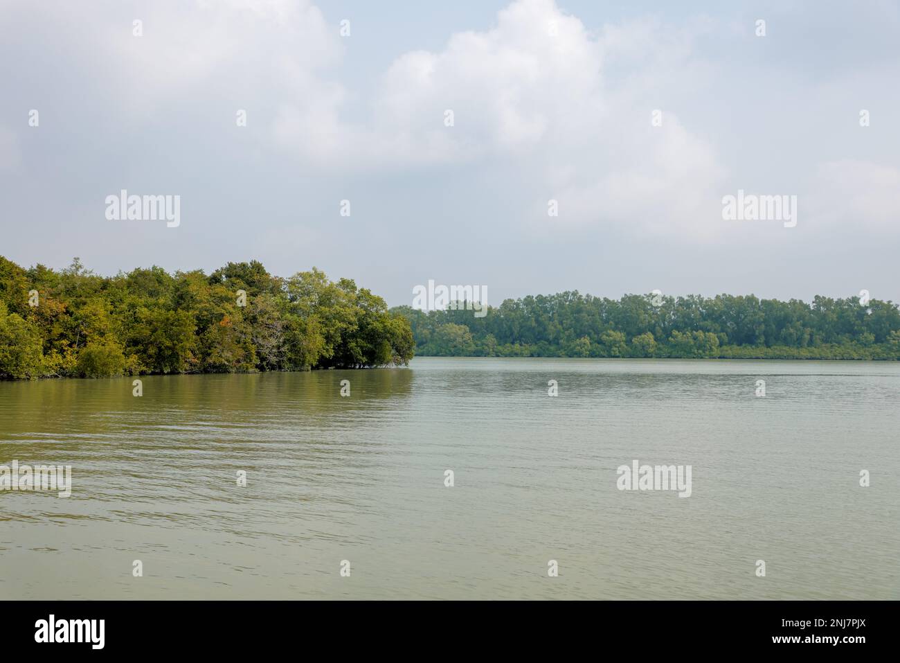 Sundarbans is a mangrove area in the delta formed by the confluence of the Padma, Brahmaputra and Meghna Rivers in the Bay of Bengal. Stock Photo