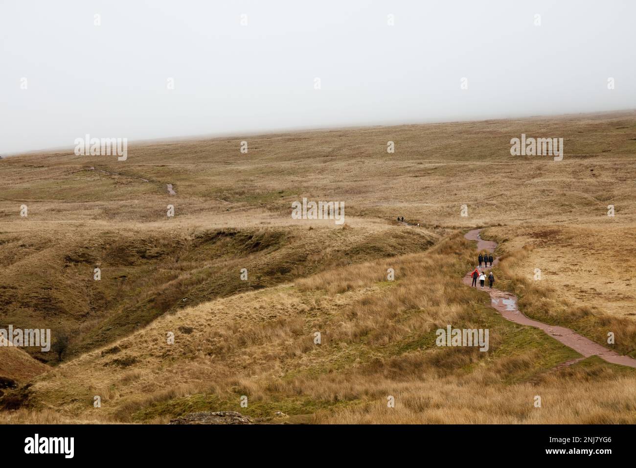 Storey Arms, Brecon Beacons, South Wales, UK.  22 February 2022.  UK weather:  Mist covers the mountains of the Brecon Beacons this afternoon.  Credit: Andrew Bartlett/Alamy Live News. Stock Photo