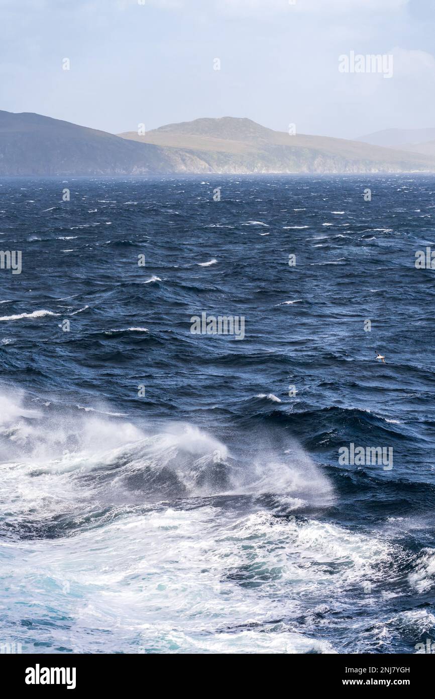 Bow of cruise ship in heavy seas and swell with waves crashing from the