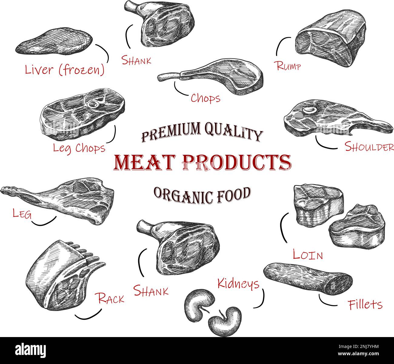 Hand drawn meat. Vector icon collection of illustration. Organic fresh