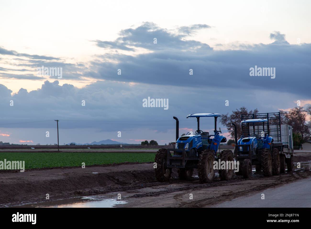 Agriculture in Yuma Az Stock Photo Alamy
