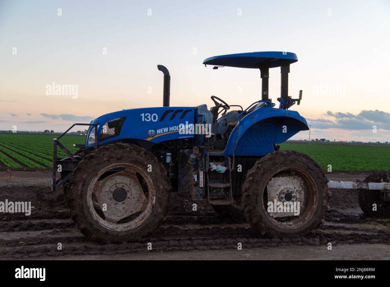 Agriculture in Yuma Az Stock Photo Alamy