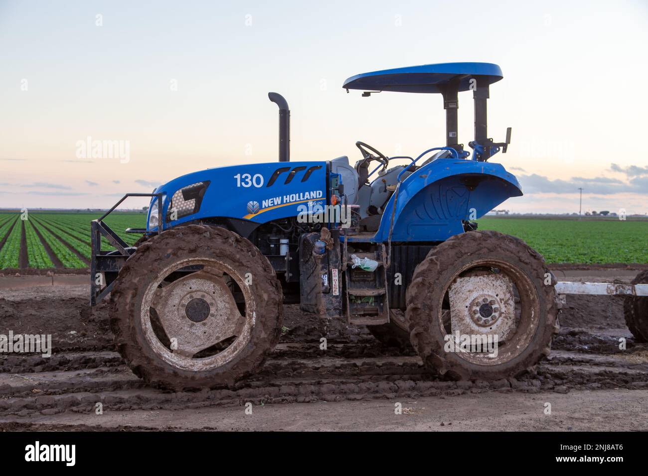 Agriculture in Yuma Az Stock Photo Alamy