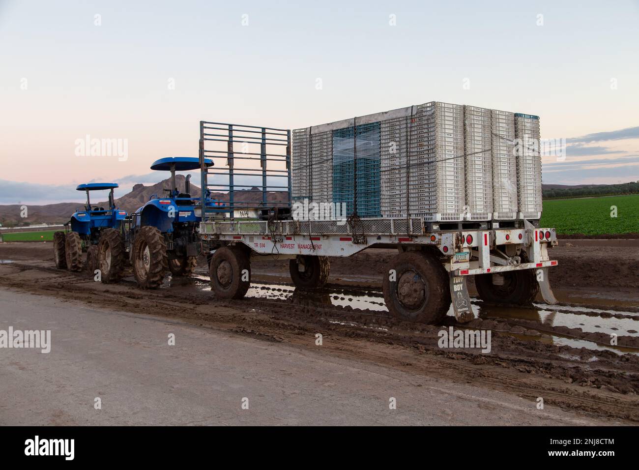 Agriculture in Yuma Az Stock Photo Alamy