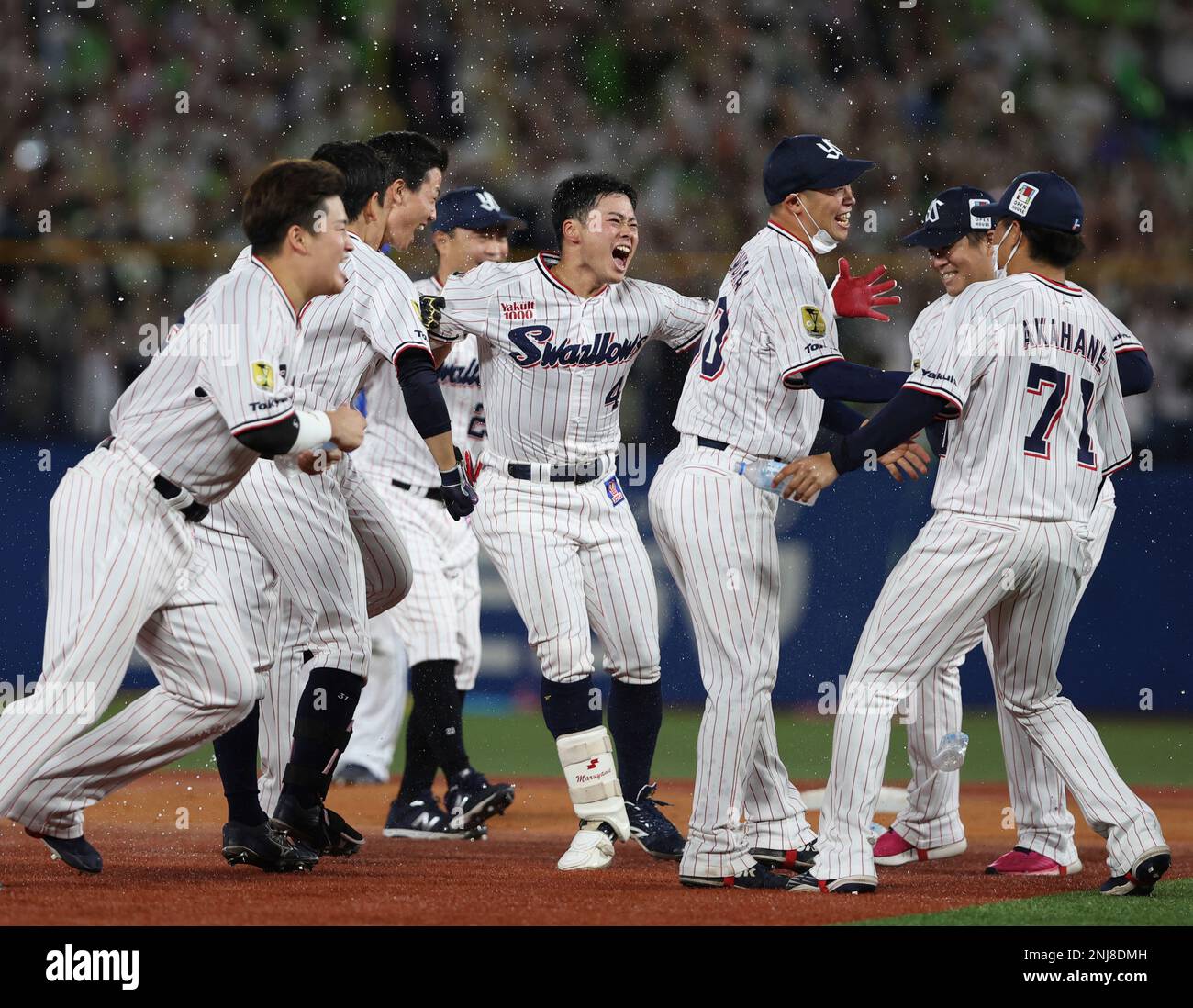 Tokyo yakult swallows jersey 2025
