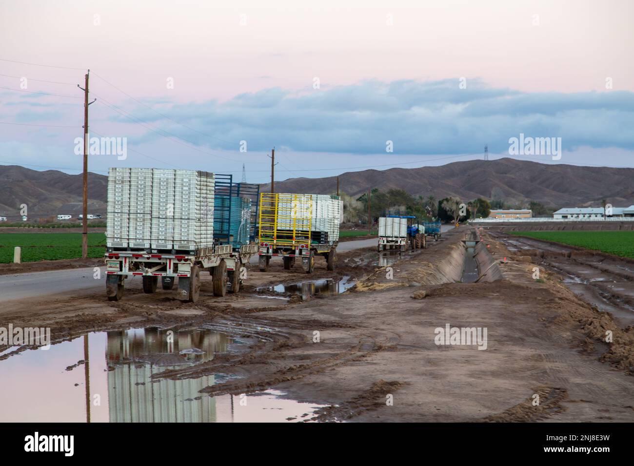 Agriculture in Yuma Az Stock Photo Alamy
