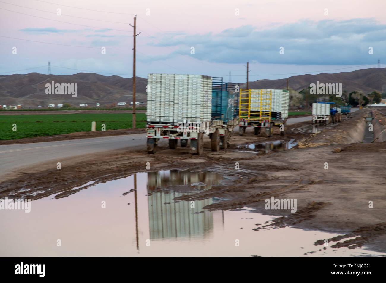 Agriculture in Yuma Az Stock Photo Alamy