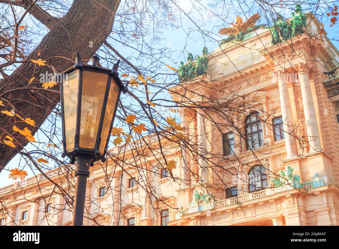 City landscape - view of the Neue Burg (New castle) of Hofburg in the city of Vienna, Austria Stock Photo