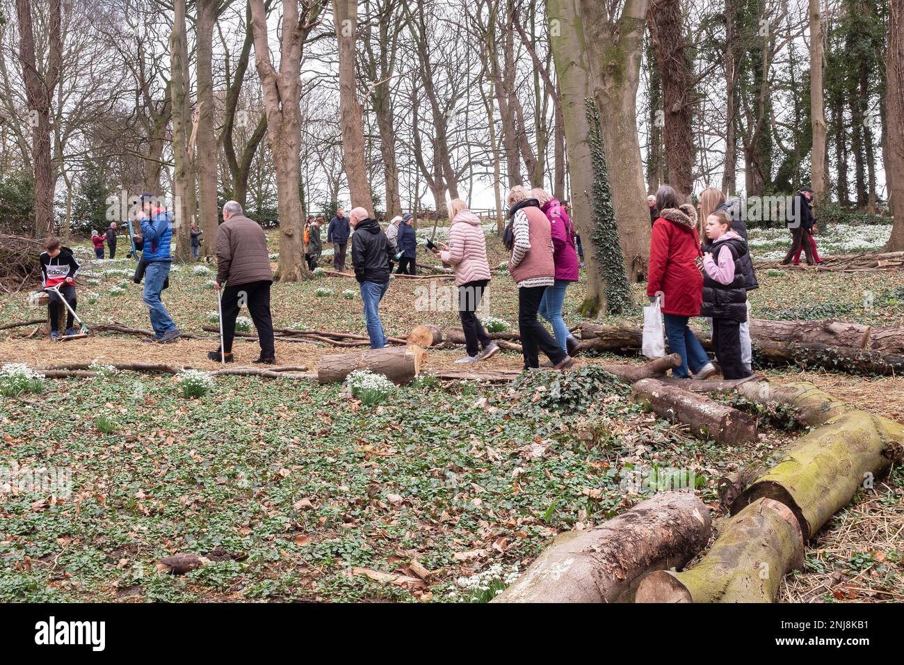 Visitors on the annual Snowdrop Walk at the House of God a home for elderly people established in Greatham Hartlepool in 1273 Stock Photo