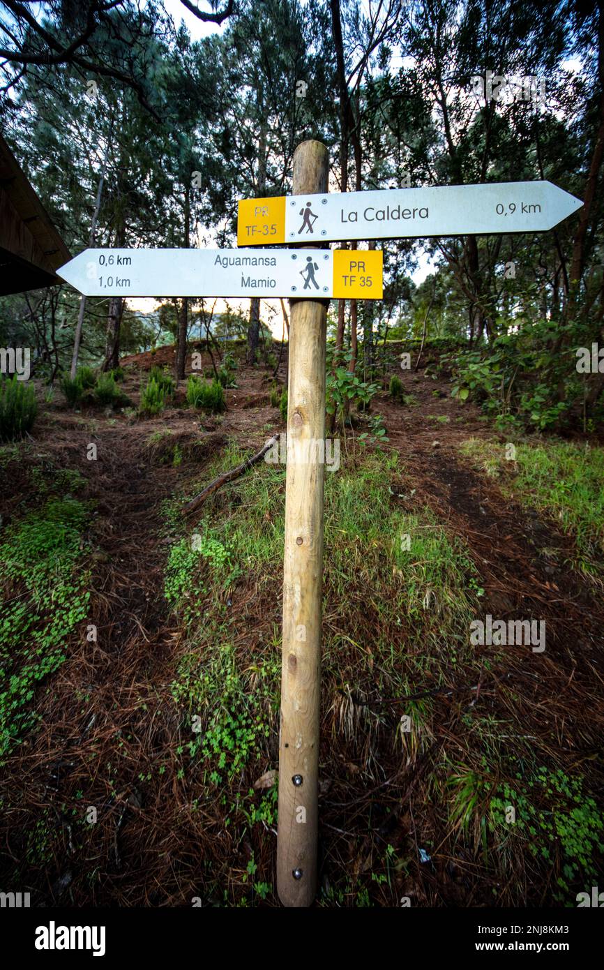 Moody woodland landscapes along the hiking trail at Aguamansa