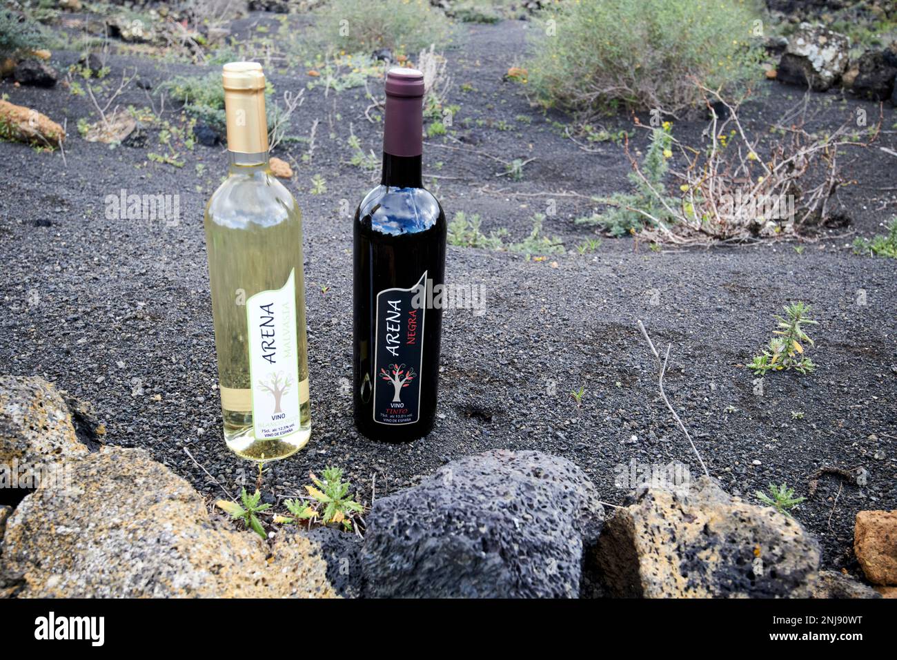 bottles of arena malvasia white wine arena negra red wine from vega