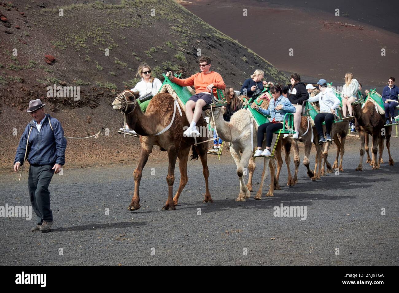 camel tour ride in timanfaya national park Lanzarote, Canary Islands, Spain Stock Photo