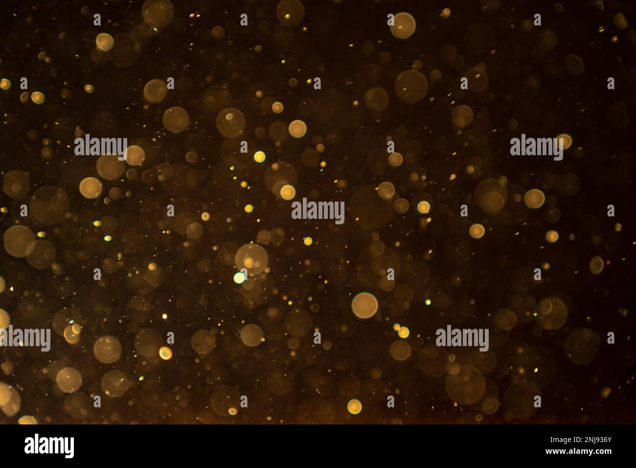 Organic bokeh dust particles floating on light beam on black background ...