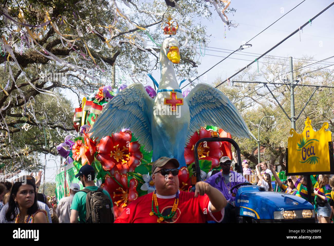 mardi gras golden goose