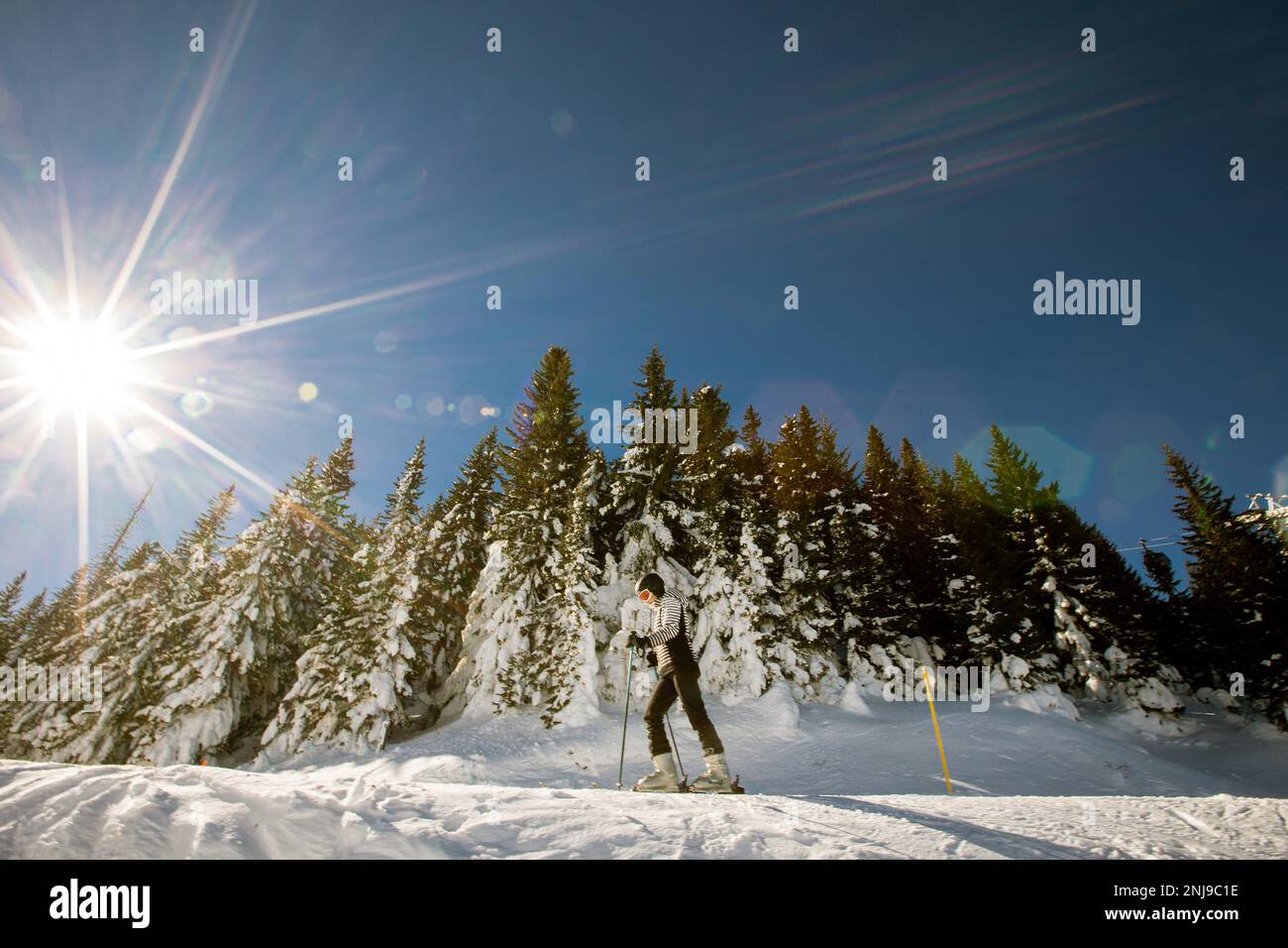 A single young female enjoys a sunny winter day of skiing, dressed in full snow gear with ski boots and sunglasses Stock Photo