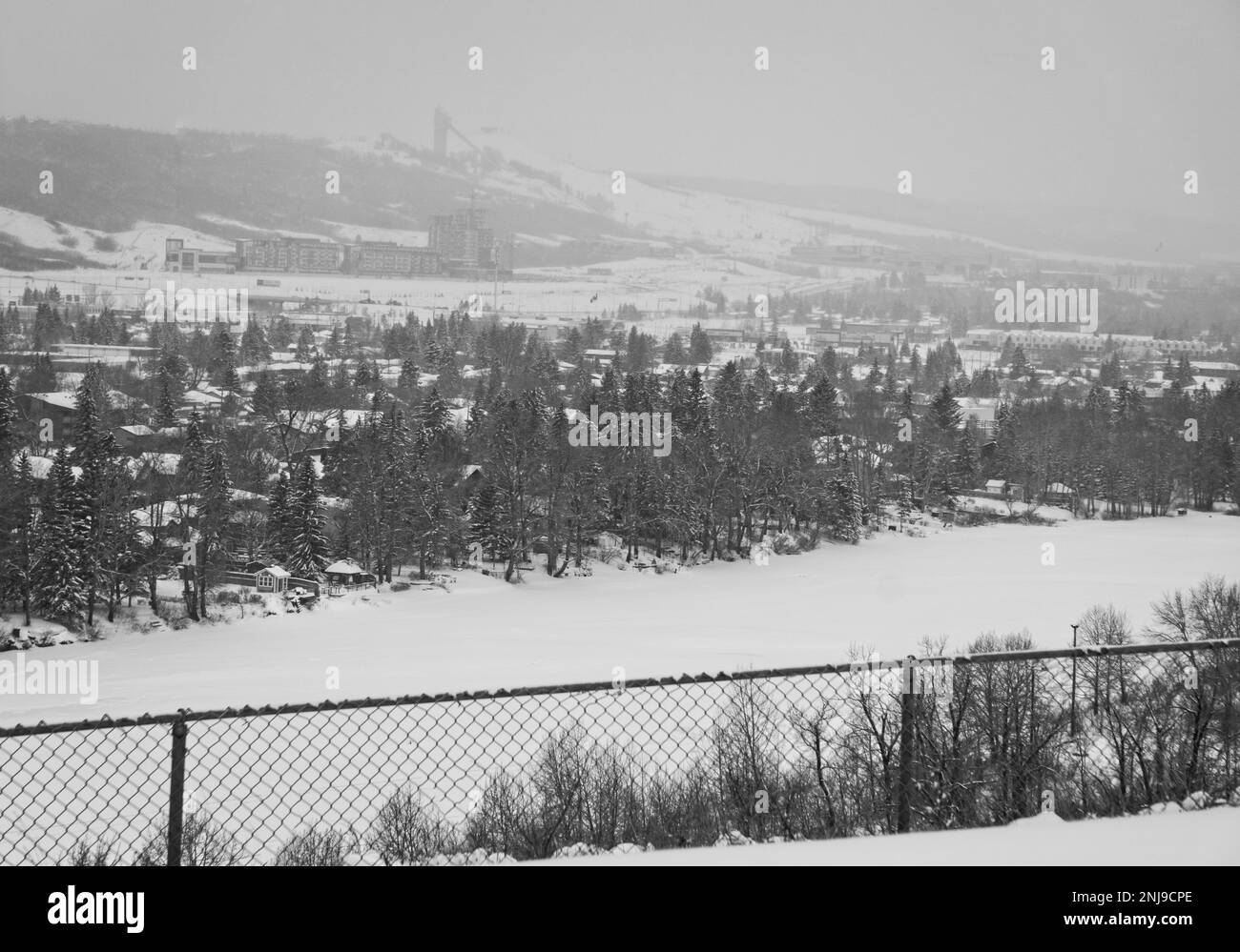 Bowmont Park Calgary Alberta Stock Photo