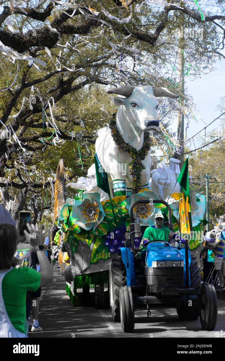 rex proclaims mardi gras