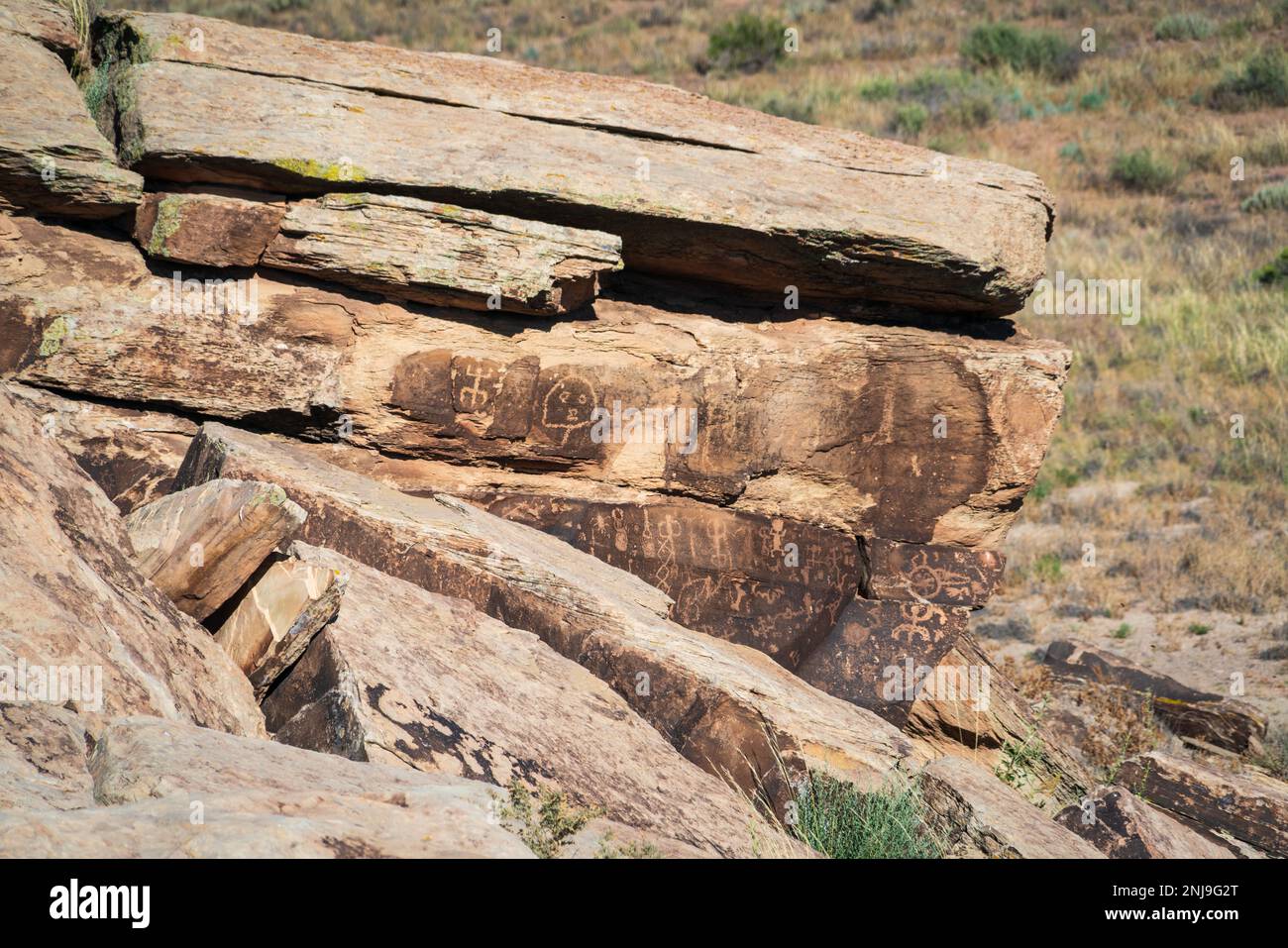 Ancient Petroglyphs at Petrified Forest National Park Stock Photo - Alamy