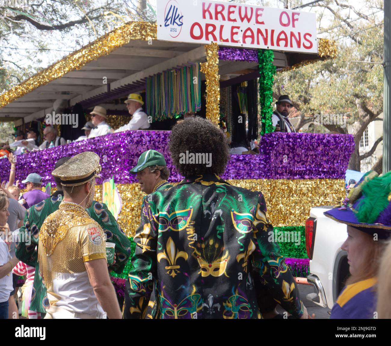 start a mardi gras krewe