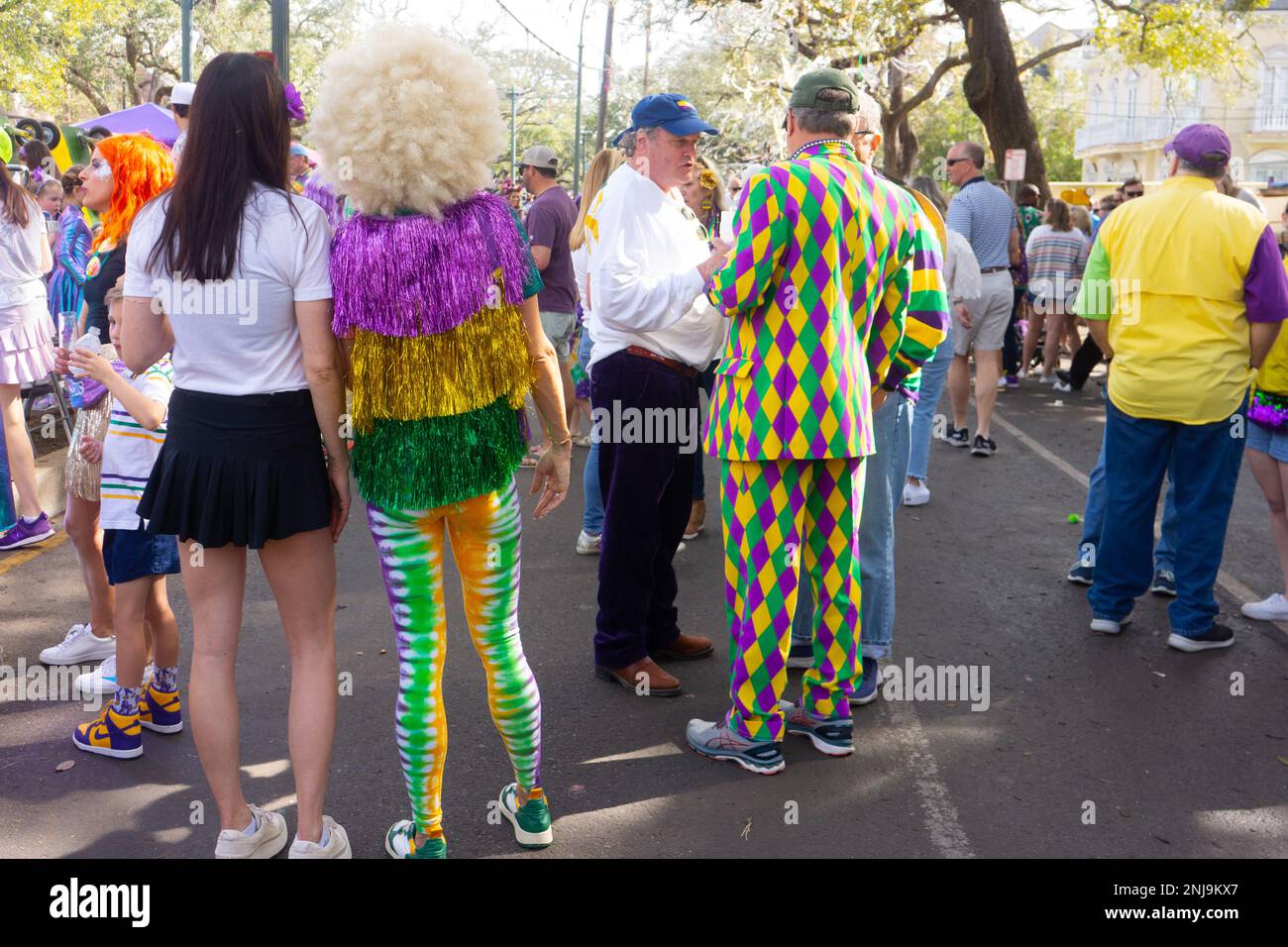 what are typical mardi gras costumes