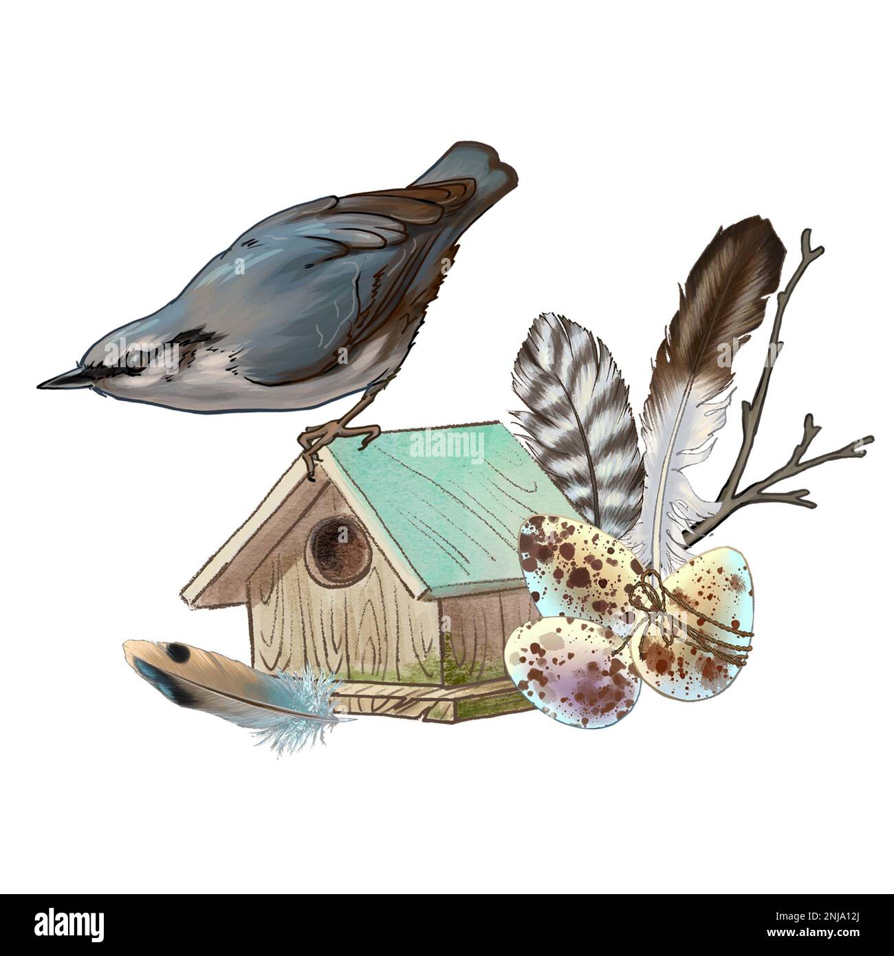 Color illustration of a bird with a nest, eggs and a birdhouse. High ...