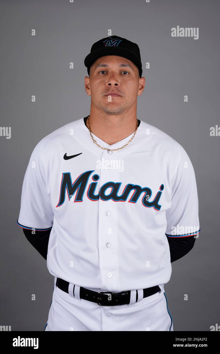 This is a 2023 photo of Avisail Garcia of the Miami Marlins