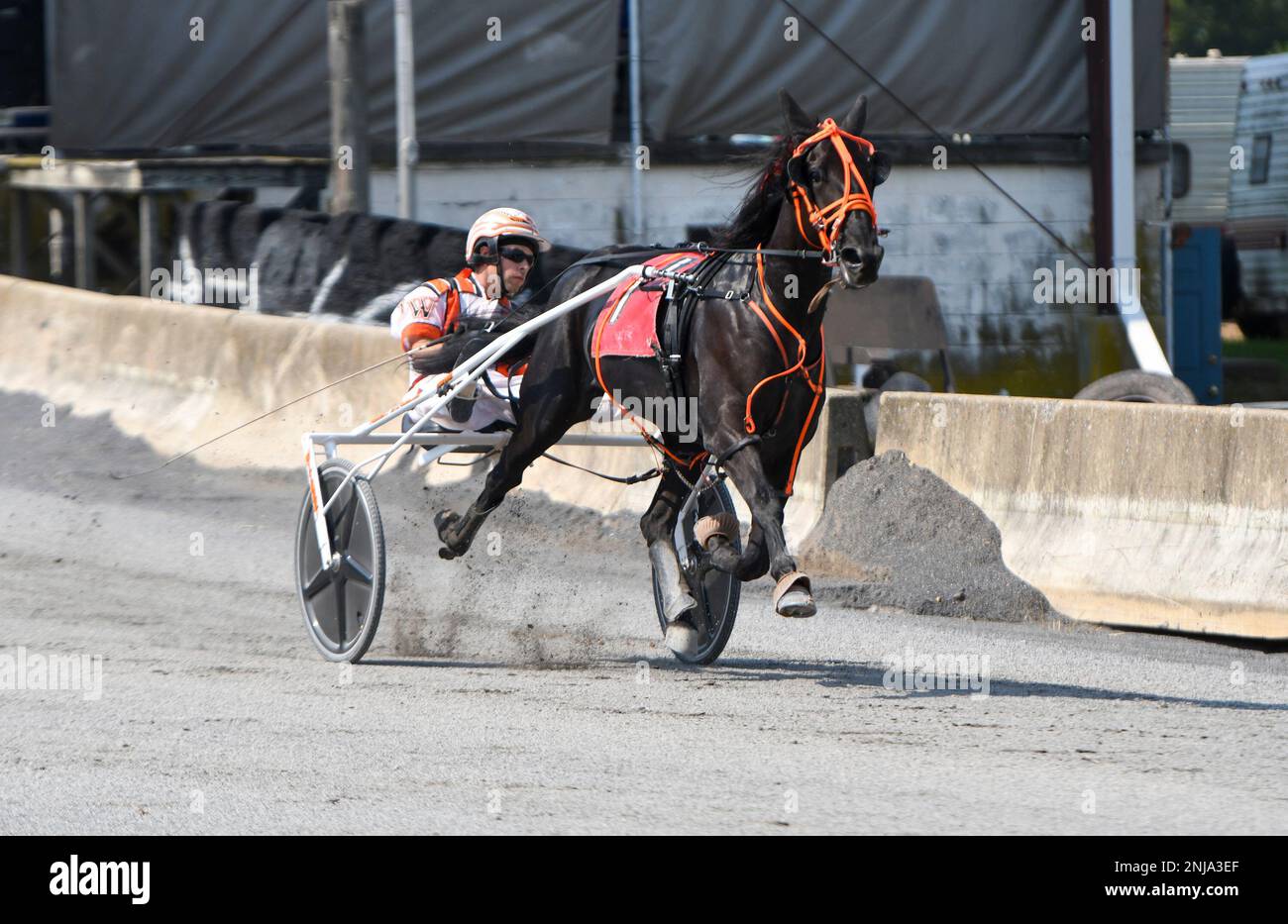 Justin Wiest, of Williamstown, Pa., and Cherokee Joy compete in harness