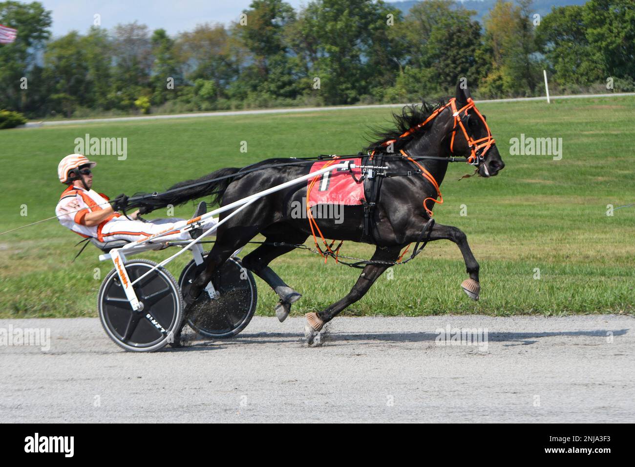 Justin Wiest, of Williamstown, Pa., and Cherokee Joy compete in harness