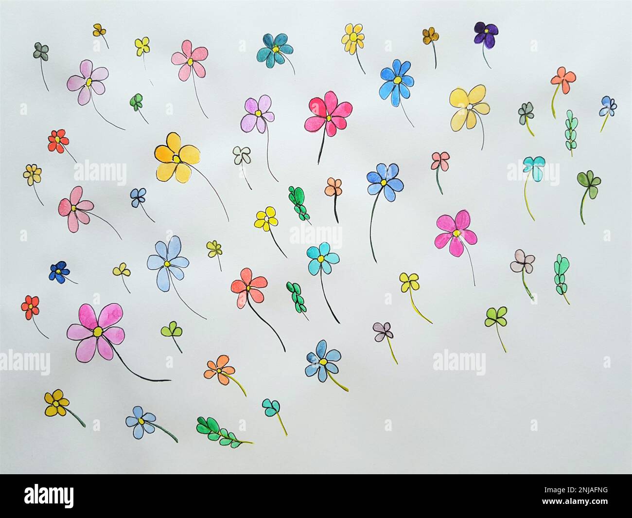 Cute hand drawn watercolor flowers on white paper. Stock Photo