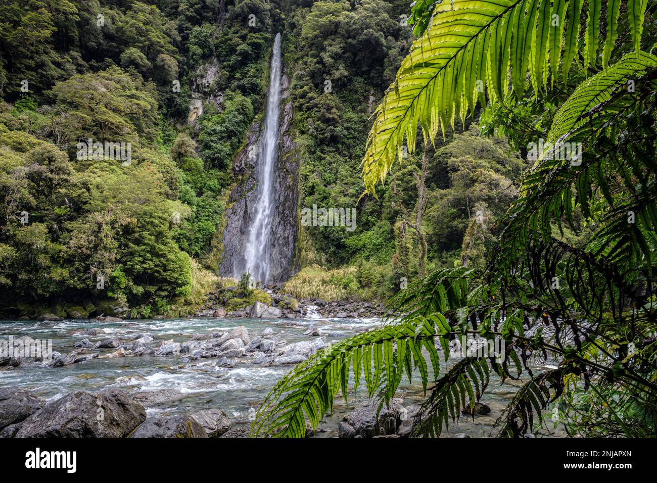 Thunder Creek Falls,  Haast Pass, Mount Aspiring National Park, South Island, New Zealand Stock Photo
