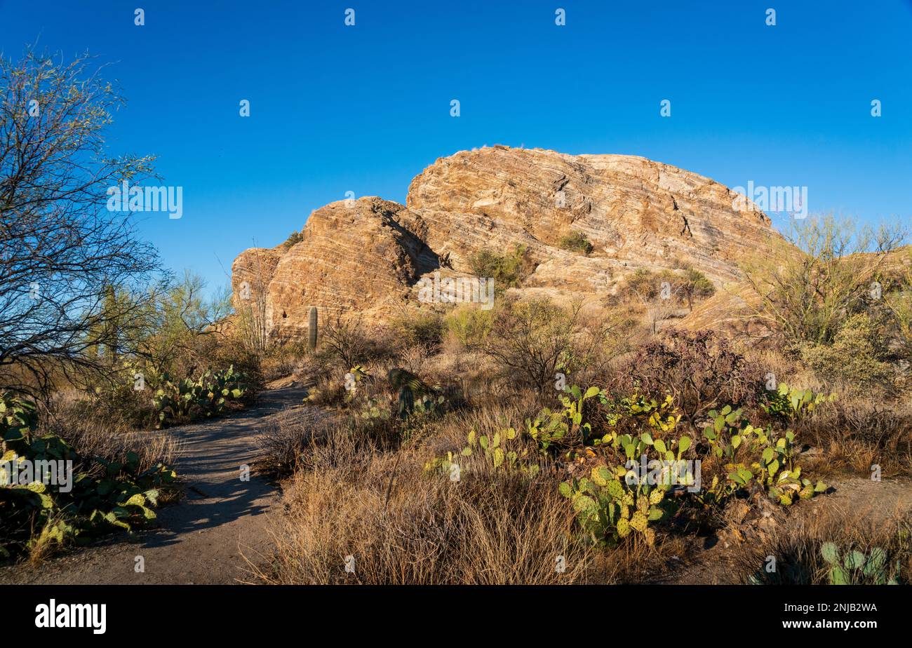 Huge Boulders at Saguaro National Park in Southern Arizona Stock Photo