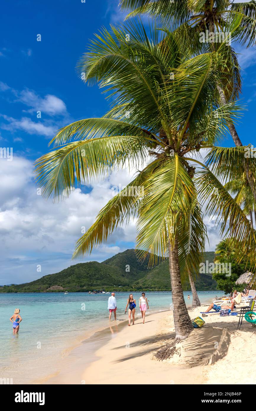 Beach view, Plage Municipale de Sainte-Anne, Sainte-Anne, Le Marin, Martinique, Lesser Antilles, Caribbean Stock Photo