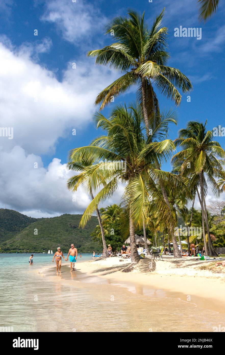 Beach view, Plage Municipale de Sainte-Anne, Sainte-Anne, Le Marin, Martinique, Lesser Antilles, Caribbean Stock Photo