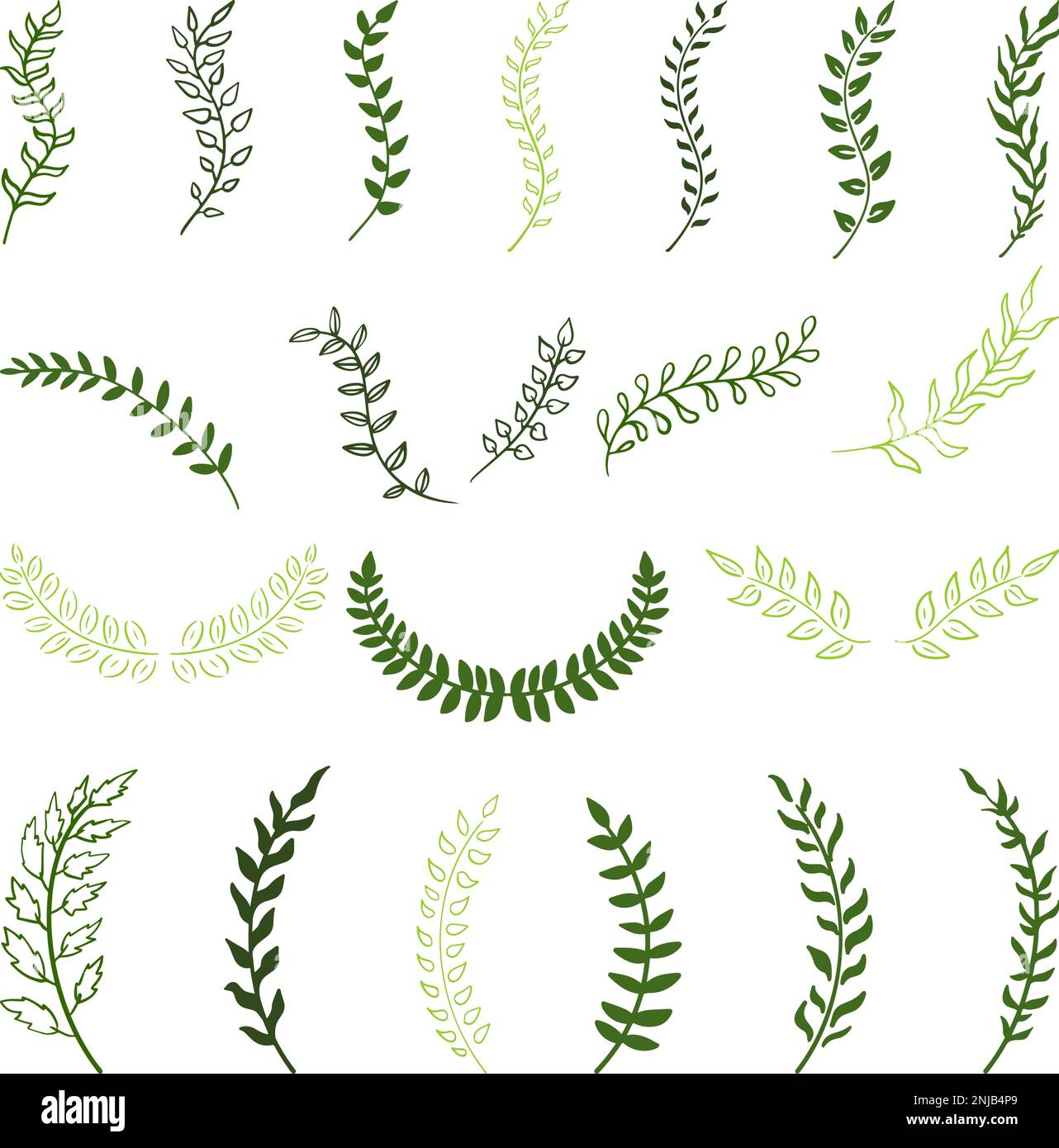 Vector Branches Set of hand drawn silhouette tree branches with laurel, oak and olive ...