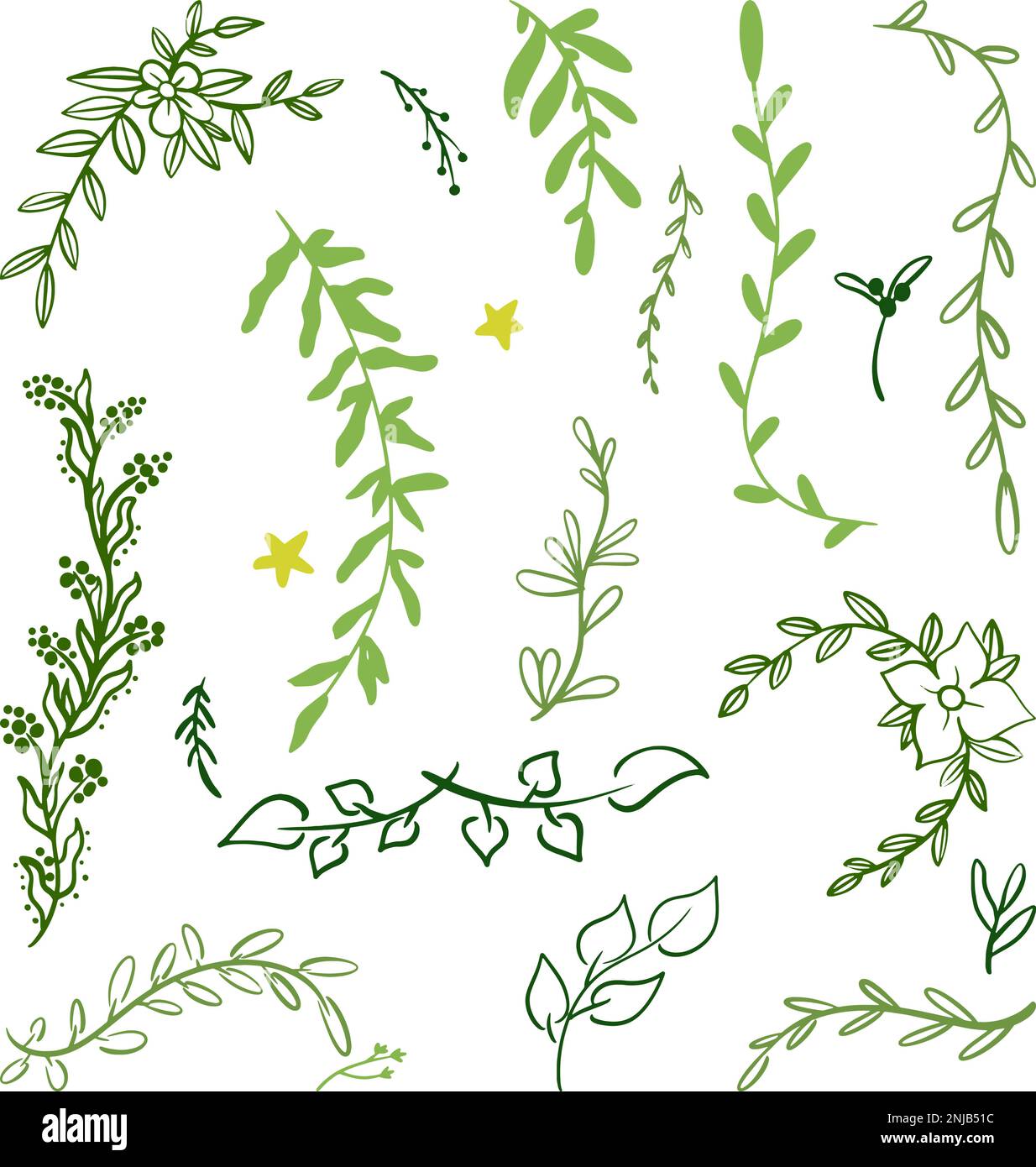 Vector Branches Set of hand drawn silhouette tree branches with laurel, oak and olive ...