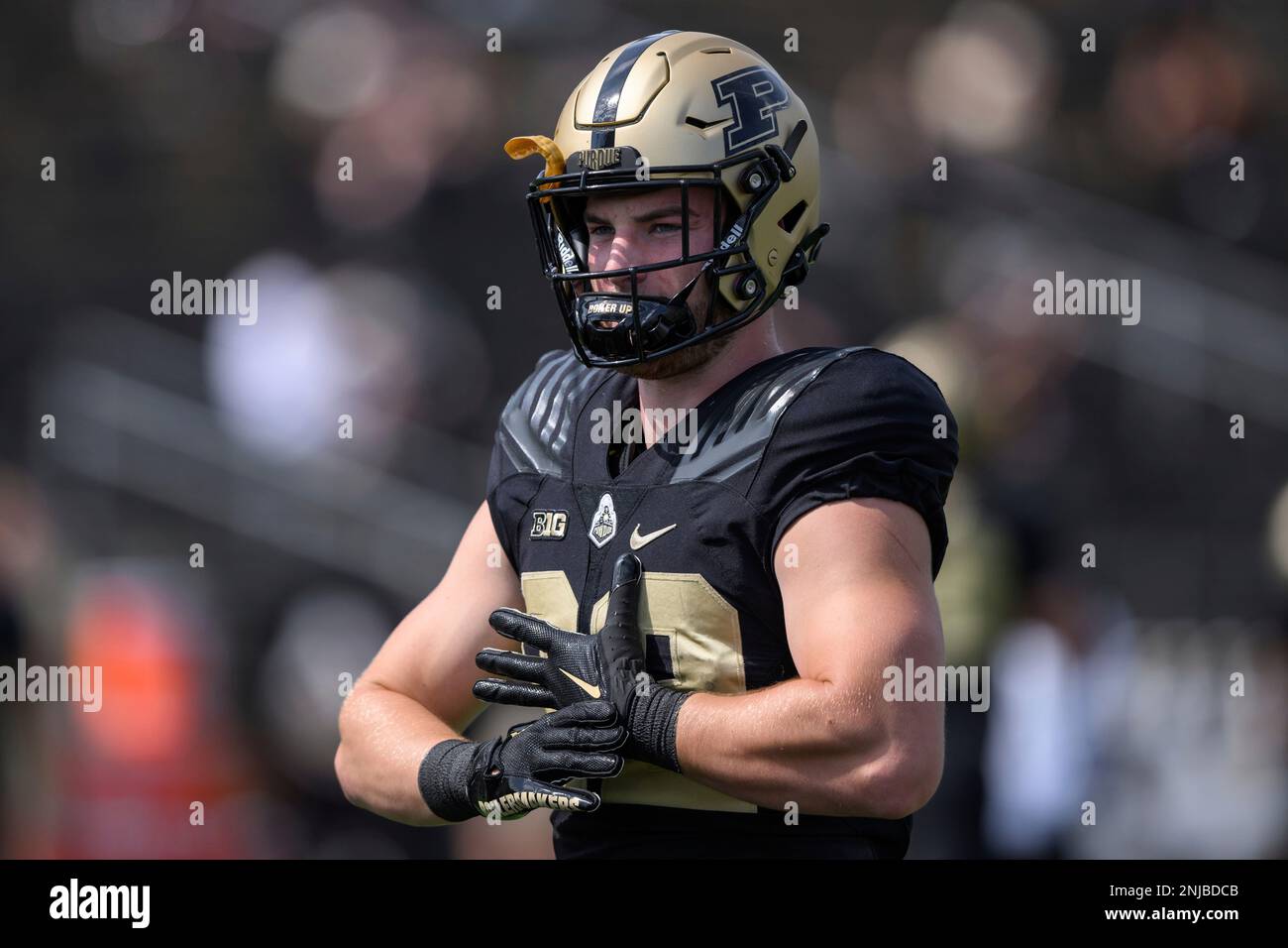 WEST LAFAYETTE, IN - SEPTEMBER 10: Purdue Boilermakers tight end Drew ...