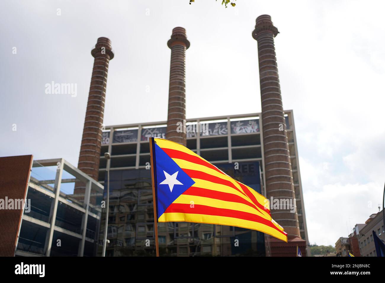 Languages - Assemblea Nacional Catalana