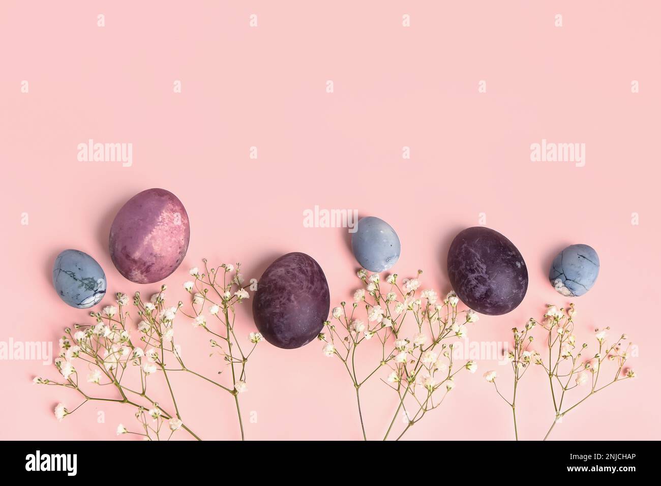 Composition with painted Easter eggs and gypsophila flowers on pink ...