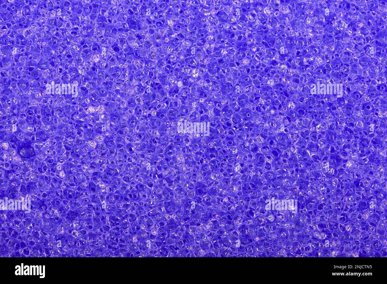 Texture closeup of sponge surface Stock Photo Alamy