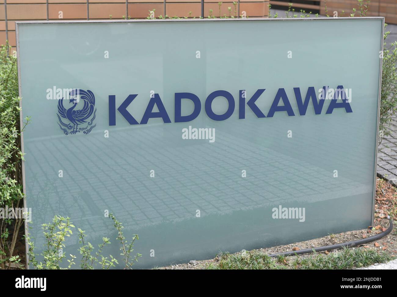 Kadokawa - Companies 