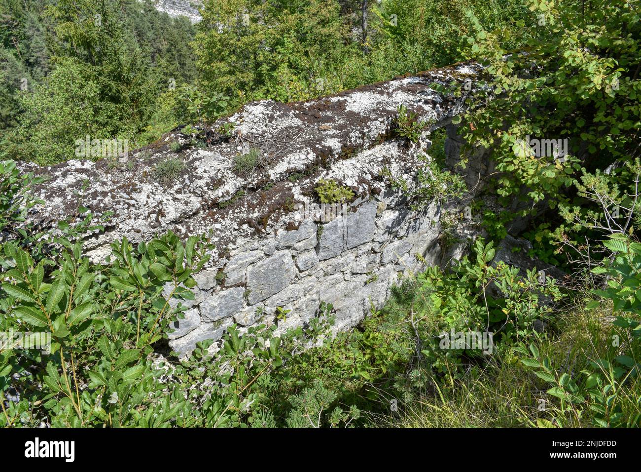 Fort Hensel, Fort, Festung, Österreich-Ungarn, Ruine, Lost Place, Baufällig, Monarchie, K&K, Verteidigung, Verteidigungssystem, Tschalawaj, Promontori Stock Photo