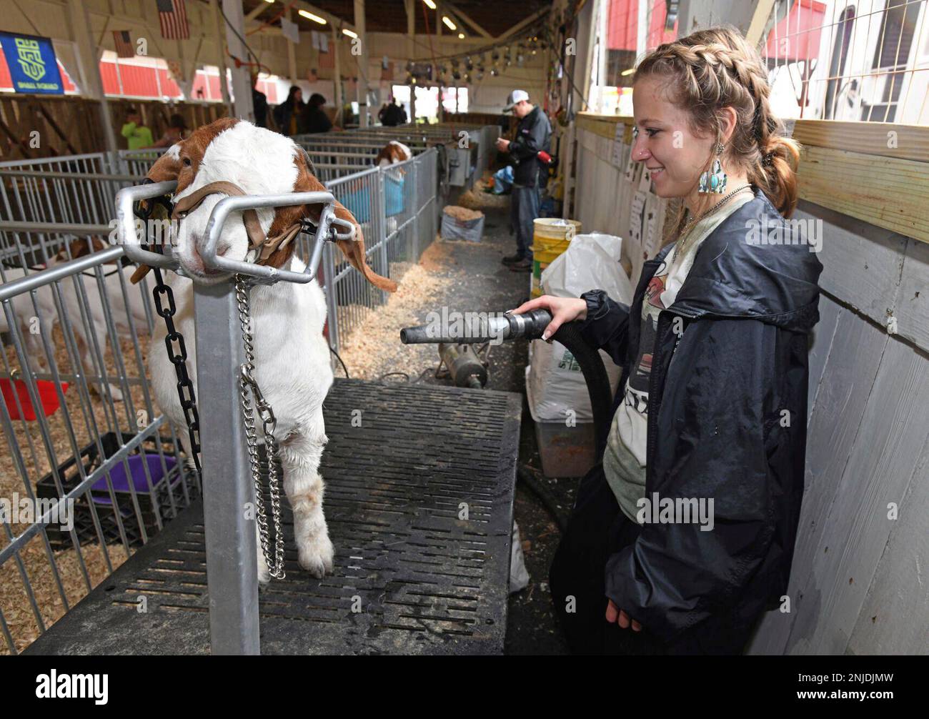 Marissa Lee, 16, of Ebensburg, Pa., blow dries her goat Wesley after an