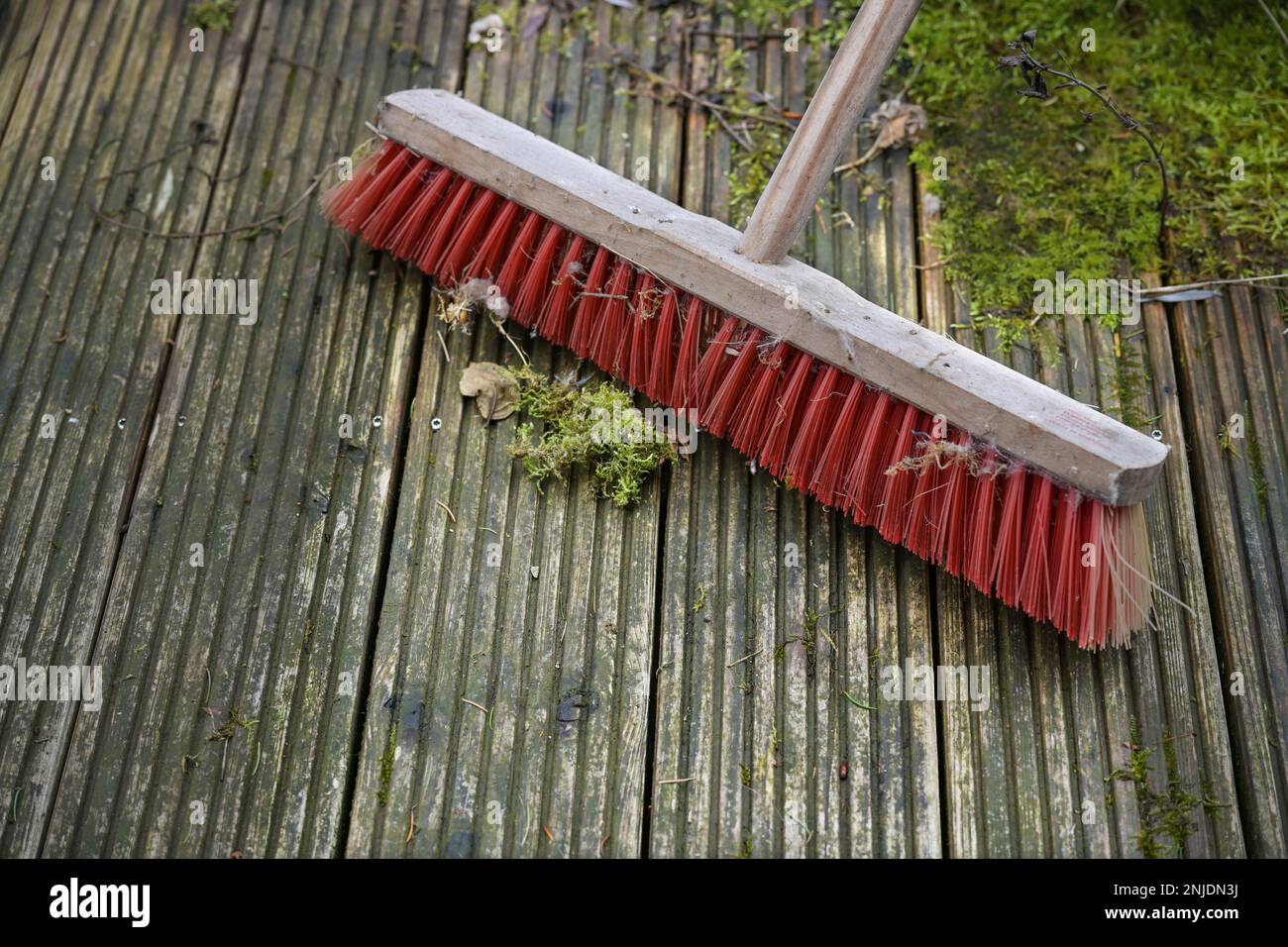Red outdoor broom with stiff plastic bristles on a dirty wooden deck with algae and moss, spring cleaning in garden and yard for the new season, copy Stock Photo